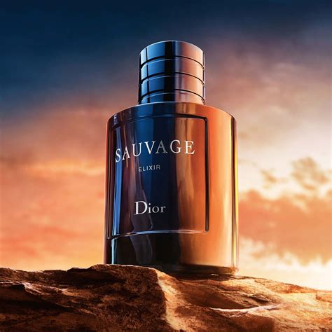 dior sauvage surf|dior suavage elixir notes.